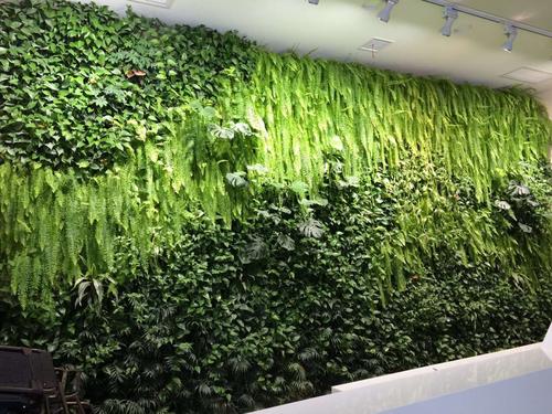 植物養(yǎng)護